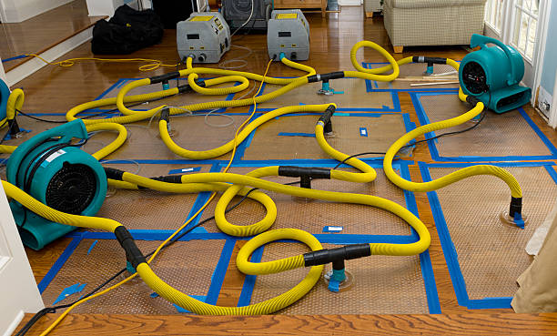 Professional Basement Flood Cleanup technician working in Estill Springs, TN
